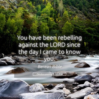 Picture 05 - Deuteronomy 9:24 BSB - You have been rebelling against the LORD since - Bible Verse Picture