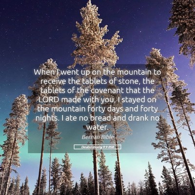 Picture 05 - Deuteronomy 9:9 BSB - When I went up on the mountain to receive the - Bible Verse Picture