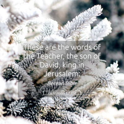Picture 05 - Ecclesiastes 1:1 BSB - These are the words of the Teacher, the son of - Bible Verse Picture