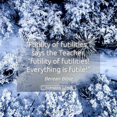 Picture 05 - Ecclesiastes 1:2 BSB - “Futility of futilities,” says the Teacher, - Bible Verse Picture