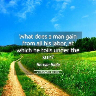 Picture 05 - Ecclesiastes 1:3 BSB - What does a man gain from all his labor, at which - Bible Verse Picture