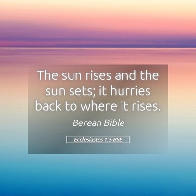 Picture 05 - Ecclesiastes 1:5 BSB - The sun rises and the sun sets; it hurries back - Bible Verse Picture