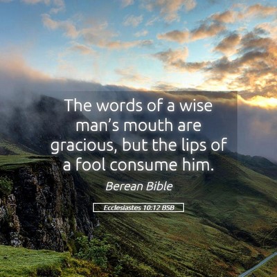 Picture 05 - Ecclesiastes 10:12 BSB - The words of a wise man’s mouth are gracious, - Bible Verse Picture