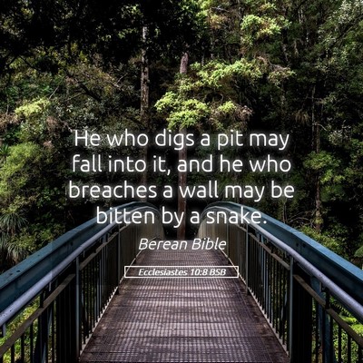 Picture 05 - Ecclesiastes 10:8 BSB - He who digs a pit may fall into it, and he who - Bible Verse Picture