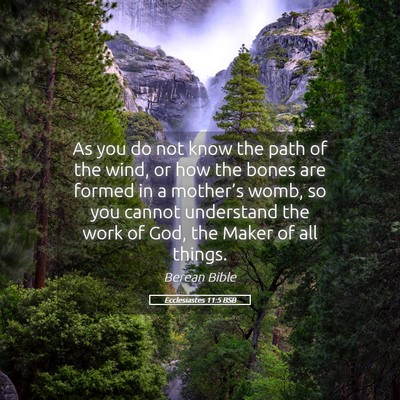 Picture 05 - Ecclesiastes 11:5 BSB - As you do not know the path of the wind, or how - Bible Verse Picture