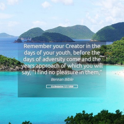 Picture 05 - Ecclesiastes 12:1 BSB - Remember your Creator in the days of your youth, - Bible Verse Picture