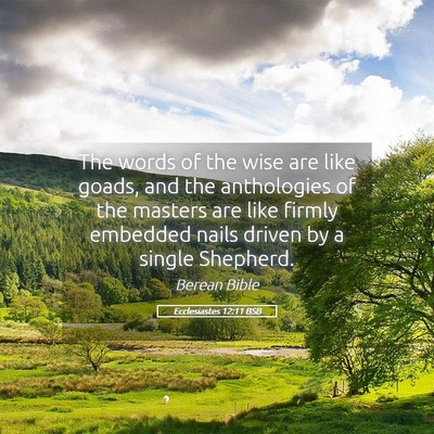 Picture 05 - Ecclesiastes 12:11 BSB - The words of the wise are like goads, and the - Bible Verse Picture