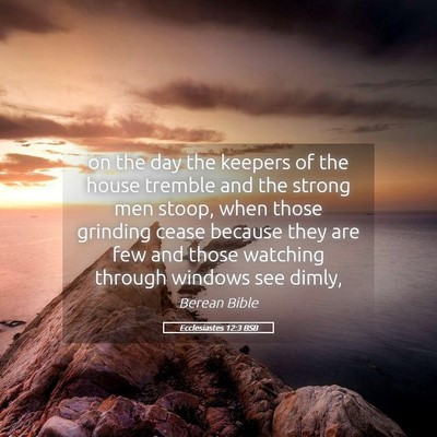 Picture 05 - Ecclesiastes 12:3 BSB - on the day the keepers of the house tremble and - Bible Verse Picture