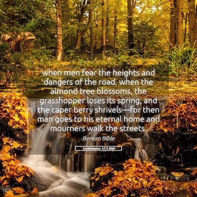 Picture 05 - Ecclesiastes 12:5 BSB - when men fear the heights and dangers of the - Bible Verse Picture