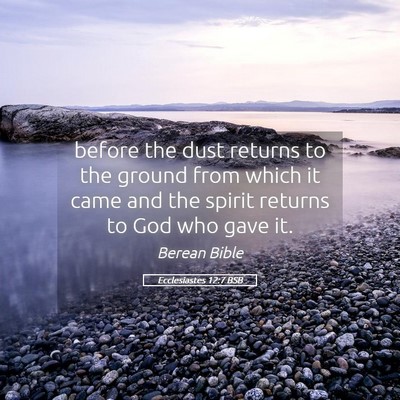 Picture 05 - Ecclesiastes 12:7 BSB - before the dust returns to the ground from which - Bible Verse Picture