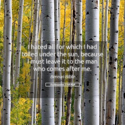 Picture 05 - Ecclesiastes 2:18 BSB - I hated all for which I had toiled under the sun, - Bible Verse Picture