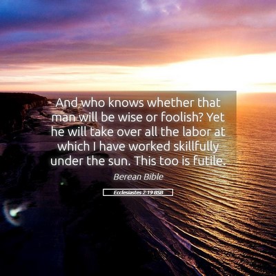 Picture 05 - Ecclesiastes 2:19 BSB - And who knows whether that man will be wise or - Bible Verse Picture