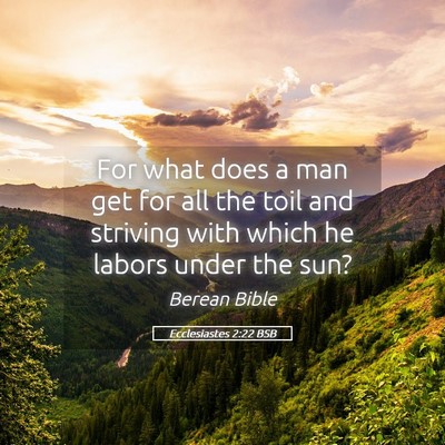 Picture 05 - Ecclesiastes 2:22 BSB - For what does a man get for all the toil and - Bible Verse Picture