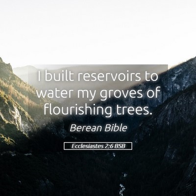 Picture 05 - Ecclesiastes 2:6 BSB - I built reservoirs to water my groves of - Bible Verse Picture