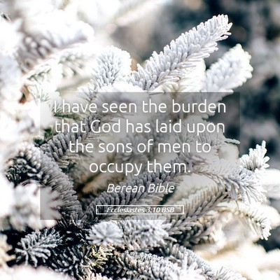 Picture 05 - Ecclesiastes 3:10 BSB - I have seen the burden that God has laid upon the - Bible Verse Picture