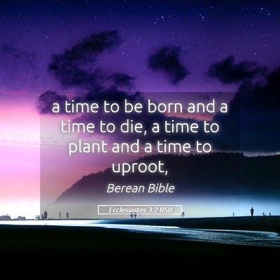 Picture 05 - Ecclesiastes 3:2 BSB - a time to be born and a time to die, a time to - Bible Verse Picture