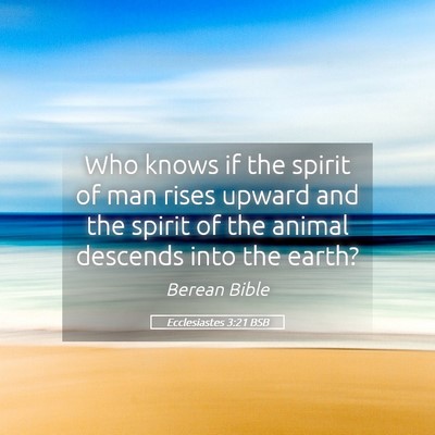 Picture 05 - Ecclesiastes 3:21 BSB - Who knows if the spirit of man rises upward and - Bible Verse Picture