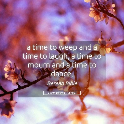 Picture 05 - Ecclesiastes 3:4 BSB - a time to weep and a time to laugh, a time to - Bible Verse Picture