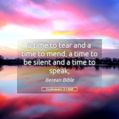 Picture 05 - Ecclesiastes 3:7 BSB - a time to tear and a time to mend, a time to be - Bible Verse Picture