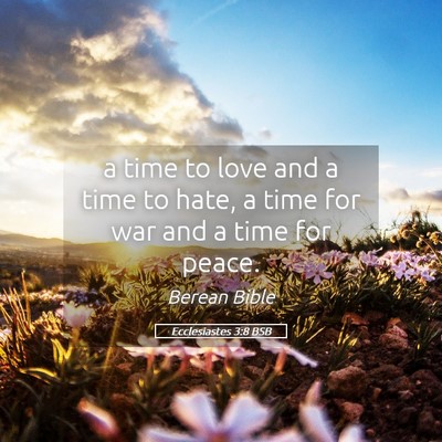 Picture 05 - Ecclesiastes 3:8 BSB - a time to love and a time to hate, a time for war - Bible Verse Picture