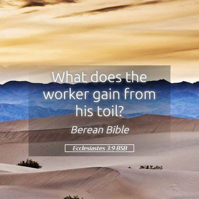 Picture 05 - Ecclesiastes 3:9 BSB - What does the worker gain from his - Bible Verse Picture