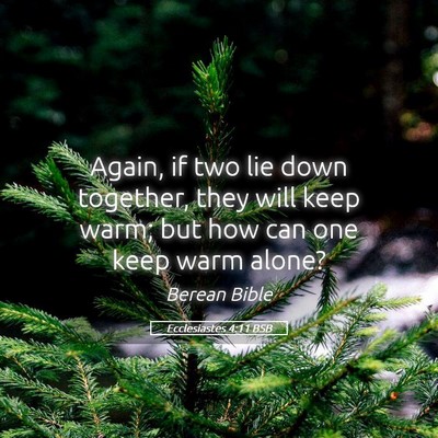 Picture 05 - Ecclesiastes 4:11 BSB - Again, if two lie down together, they will keep - Bible Verse Picture