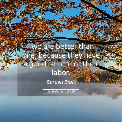 Picture 05 - Ecclesiastes 4:9 BSB - Two are better than one, because they have a good - Bible Verse Picture