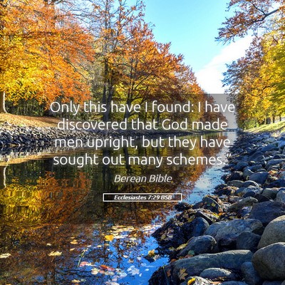 Picture 05 - Ecclesiastes 7:29 BSB - Only this have I found: I have discovered that - Bible Verse Picture