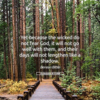 Picture 05 - Ecclesiastes 8:13 BSB - Yet because the wicked do not fear God, it will - Bible Verse Picture