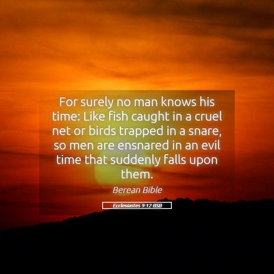 Picture 05 - Ecclesiastes 9:12 BSB - For surely no man knows his time: Like fish - Bible Verse Picture