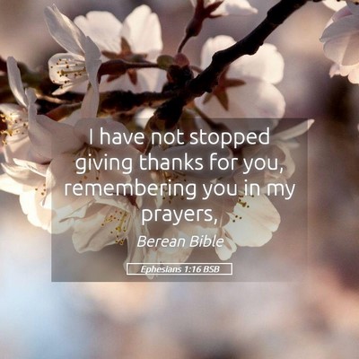 Picture 05 - Ephesians 1:16 BSB - I have not stopped giving thanks for you, - Bible Verse Picture