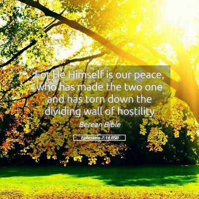 Picture 05 - Ephesians 2:14 BSB - For He Himself is our peace, who has made the two - Bible Verse Picture