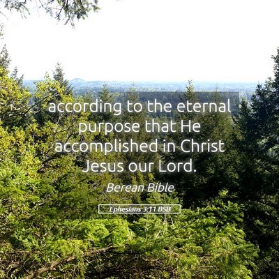 Picture 05 - Ephesians 3:11 BSB - according to the eternal purpose that He - Bible Verse Picture
