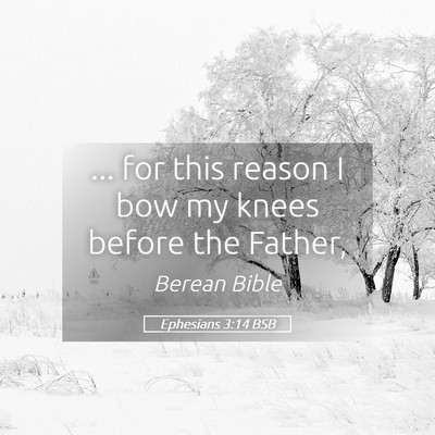 Picture 05 - Ephesians 3:14 BSB - ... for this reason I bow my knees before the - Bible Verse Picture