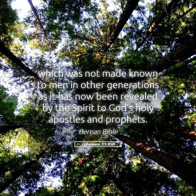 Picture 05 - Ephesians 3:5 BSB - which was not made known to men in other - Bible Verse Picture