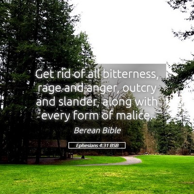 Picture 05 - Ephesians 4:31 BSB - Get rid of all bitterness, rage and anger, outcry - Bible Verse Picture