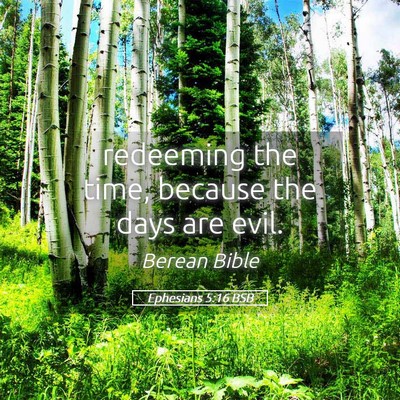 Picture 05 - Ephesians 5:16 BSB - redeeming the time, because the days are - Bible Verse Picture