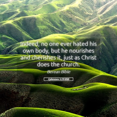 Picture 05 - Ephesians 5:29 BSB - Indeed, no one ever hated his own body, but he - Bible Verse Picture