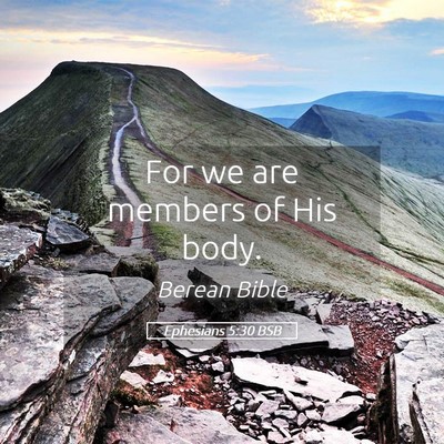 Picture 05 - Ephesians 5:30 BSB - For we are members of His - Bible Verse Picture