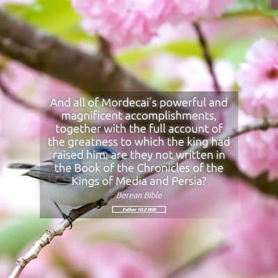 Picture 05 - Esther 10:2 BSB - And all of Mordecai’s powerful and magnificent - Bible Verse Picture