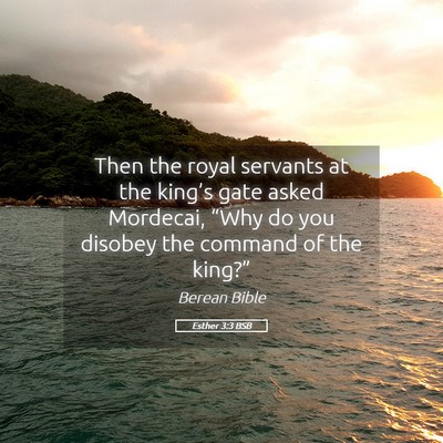 Picture 05 - Esther 3:3 BSB - Then the royal servants at the king’s gate - Bible Verse Picture