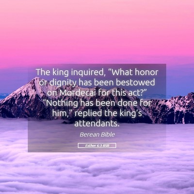Picture 05 - Esther 6:3 BSB - The king inquired, “What honor or dignity has - Bible Verse Picture