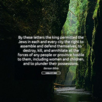 Picture 05 - Esther 8:11 BSB - By these letters the king permitted the Jews in - Bible Verse Picture