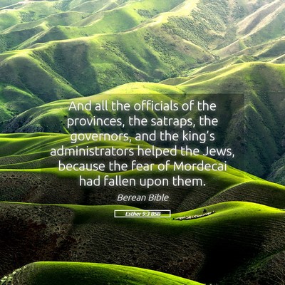 Picture 05 - Esther 9:3 BSB - And all the officials of the provinces, the - Bible Verse Picture