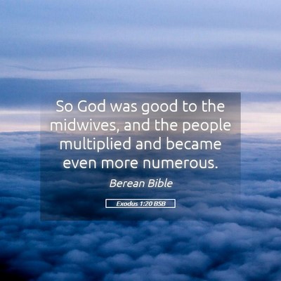 Picture 05 - Exodus 1:20 BSB - So God was good to the midwives, and the people - Bible Verse Picture