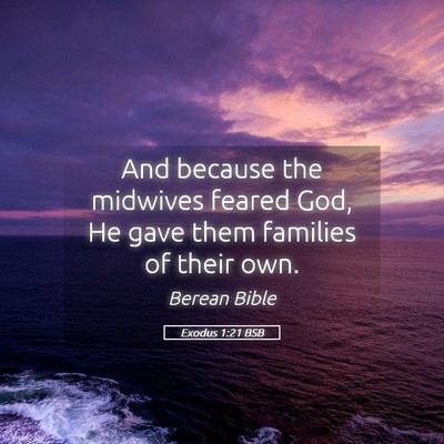 Picture 05 - Exodus 1:21 BSB - And because the midwives feared God, He gave them - Bible Verse Picture