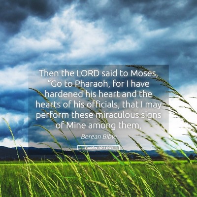 Picture 05 - Exodus 10:1 BSB - Then the LORD said to Moses, “Go to Pharaoh, - Bible Verse Picture