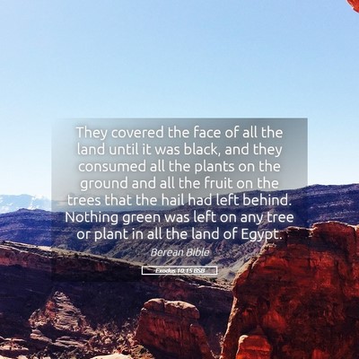 Picture 05 - Exodus 10:15 BSB - They covered the face of all the land until it - Bible Verse Picture