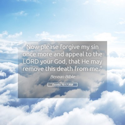 Picture 05 - Exodus 10:17 BSB - Now please forgive my sin once more and appeal to - Bible Verse Picture