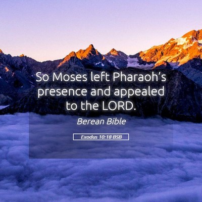 Picture 05 - Exodus 10:18 BSB - So Moses left Pharaoh’s presence and appealed - Bible Verse Picture